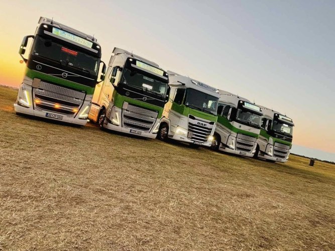 Budapesti indulással belföldi ​és rövid nemzetközi utakra gépkocsivezetőket keresünk C + E kategóriás jogosítvánnyal!​