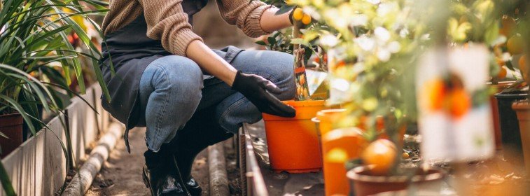 ​Kertépítő ​állás Budapest III. kerületben – stabil, hosszú távú lehetőség