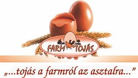 Tehergépjármű-vezető állás Bőny (C+E, GKI) – Targoncás jogosítvánnyal