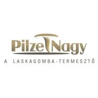 Szállítmányozási és​ raktározási ügyintéző​ állás – azonnali kezdéssel